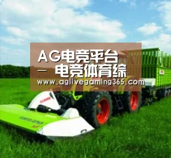 关于AG电子
