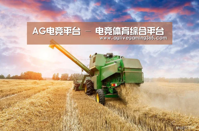 产品名称二(图1)