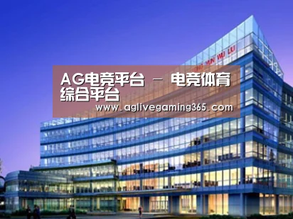 案例展示五