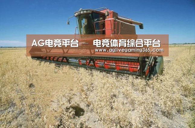 产品名称三