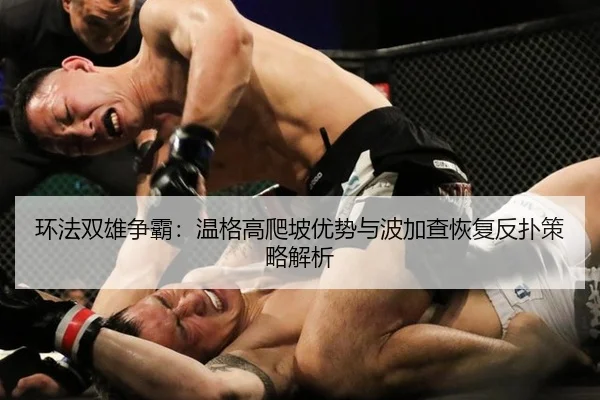 huan-fa-shuang-xiong-zheng-ba-wen-ge-gao-pa-po-you-shi-yu-bo-jia-cha-hui-fu-fan-pu-ce-lve-jie-xi-3-816.jpg