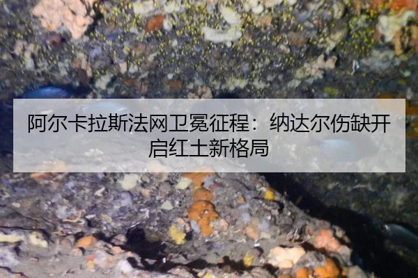 a-er-ka-la-si-fa-wang-wei-mian-zheng-cheng-na-da-er-shang-que-kai-qi-hong-tu-xin-ge-ju-2-484.jpg