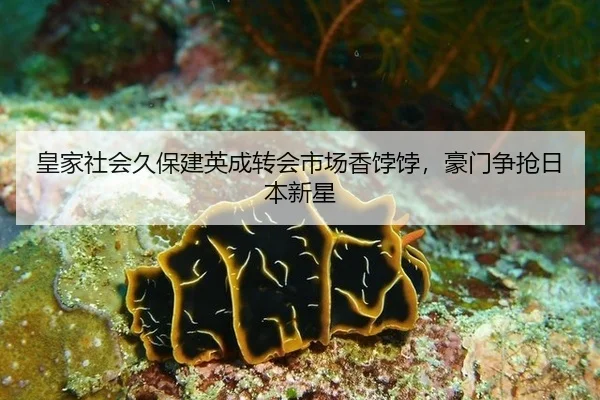 huang-jia-she-hui-jiu-bao-jian-ying-cheng-zhuan-hui-shi-chang-xiang-bo-bo-hao-men-zheng-qiang-ri-ben-xin-xing-2-140.jpg